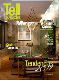 Edici&oacute;n concepcion, noviembre 2016