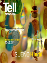Edici&oacute;n santiago, enero 2017
