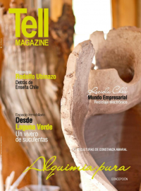 Edici&oacute;n concepcion, abril 2017