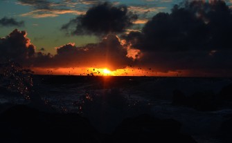 RAPA NUI âMI CULTURA, TU CULTURAâ
