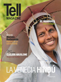 Edici&oacute;n concepcion, diciembre 2017