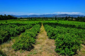 VIVIR EL CAMPO