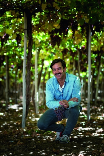 El hombre del pisco