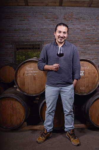 Vino desde la tierra