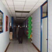 Para la Educación Superior