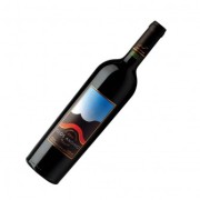 Un francés haciendo vinos en Curicó