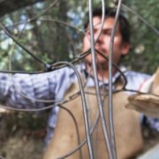 El Poder de los Toros