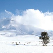 Los alpes chilenos