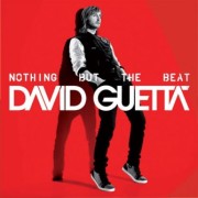 David Guetta - Nothing but the beat