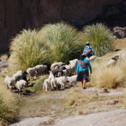 Arraigo a la tierra