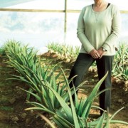 Aloe vera: elíxir de vida