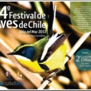 Ciencia y Arte 4º Festival de Aves de Chile, Viña 2011