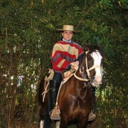 Rodeo de San Clemente, Talca