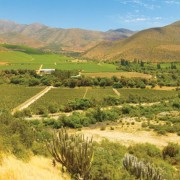 Santuario ecológico