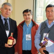 Seminario  Oportunidades de Desarrollo e Innovación con base en la uva pisquera