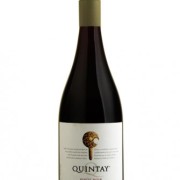 Pinot Noir Viña Quintay