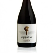 Pinot Noir Viña Quintay