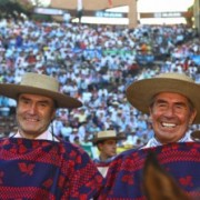 Campeón del champion