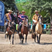 Tradiciones de Chile
