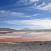 Naturaleza Feroz