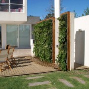 Solución Verde