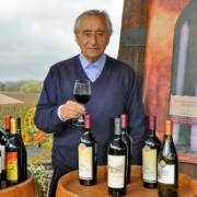 Gastronomía y Vino