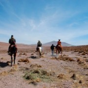 Pampa Paraíso
