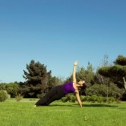 Equilibrio perfecto