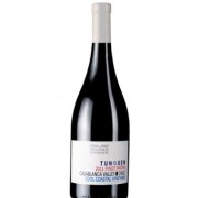 Pinot Noir, el joven de Casablanca