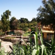 Vinos del Oasis Pica, Matilla y Quisma