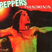 THE RED HOT CHILI PEPPERS PHENOMENON