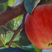 UNA MANZANA