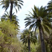 Canto a la biodiversidad