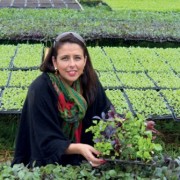 De la tierra a la mesa