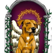 Perros, gatos, ratones y termitas