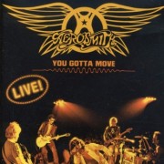 Aerosmith, You gotta move