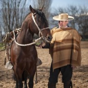 Rodeo de elite