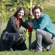 Innovación en pareja