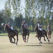 El polo es nuestro