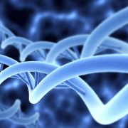 Los genes de la discordia