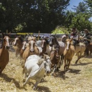De vuelta a las raíces