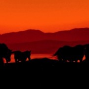 Mongolia tierra de todos