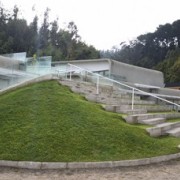 Precursor del techo verde