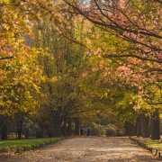 Parque del Salitre