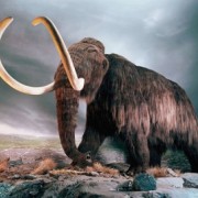 El Mastodonte Maulino