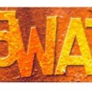 25 watts