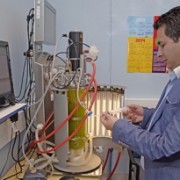 El poder de las microalgas
