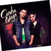 Cumbia ninja Qué bonita vecindad