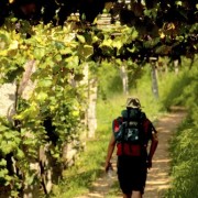Encuentra tu camino