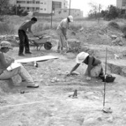 La excavación en altos de Vilches